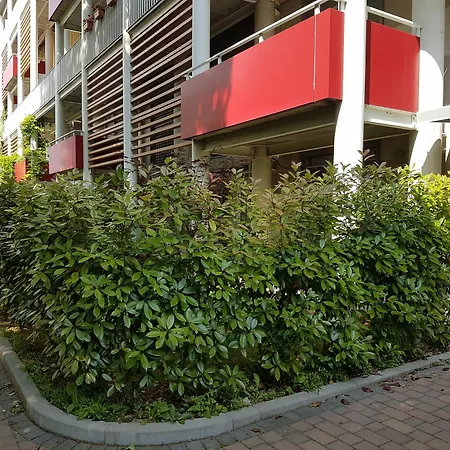 Bdp10 Apartment